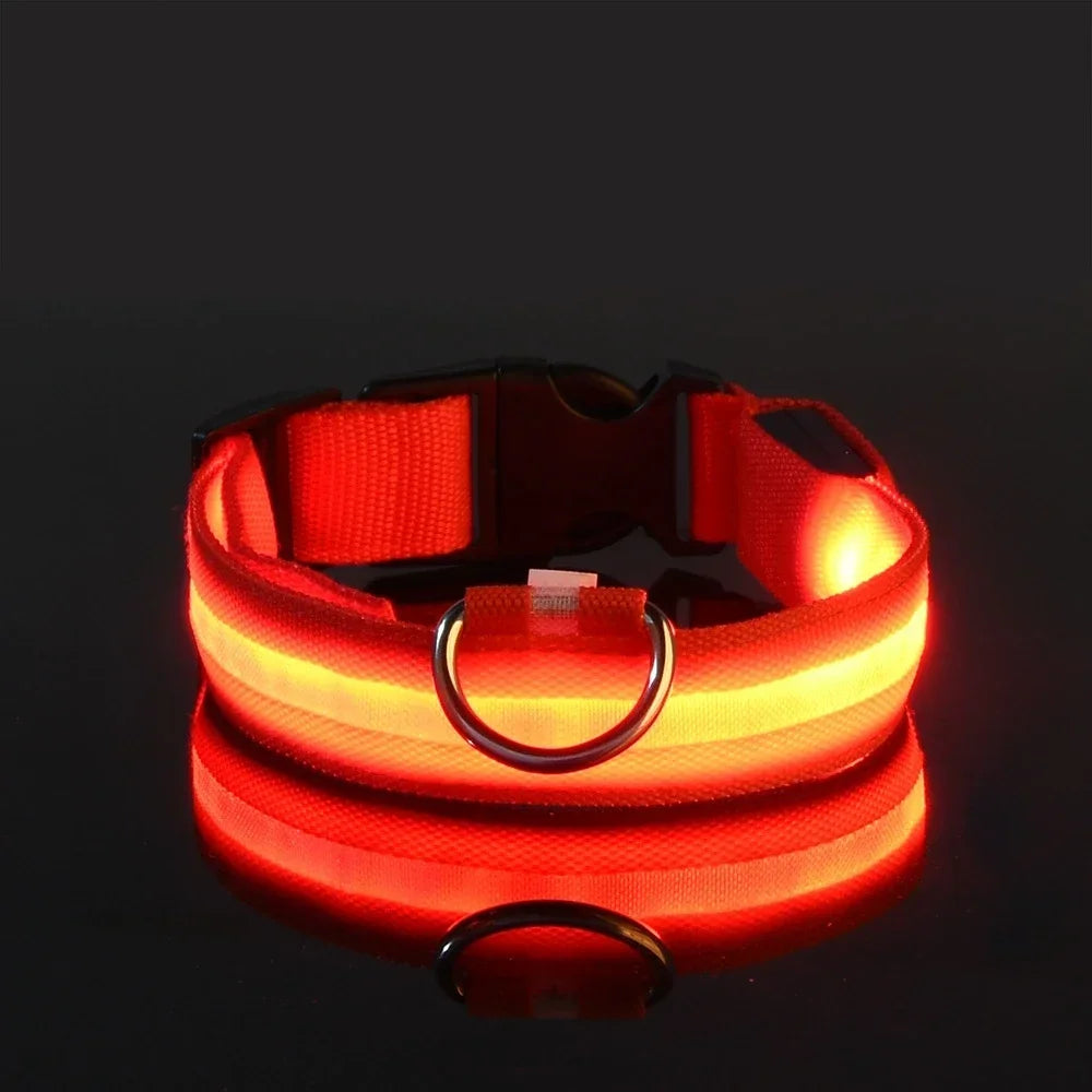 Collar LED Luminoso para Perros, Seguridad Nocturna