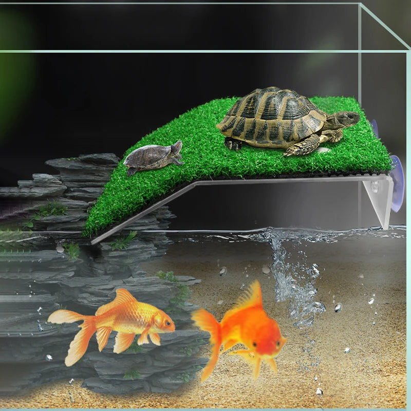 Plataforma Flotante para Tortugas, Isla para Tomar el Sol