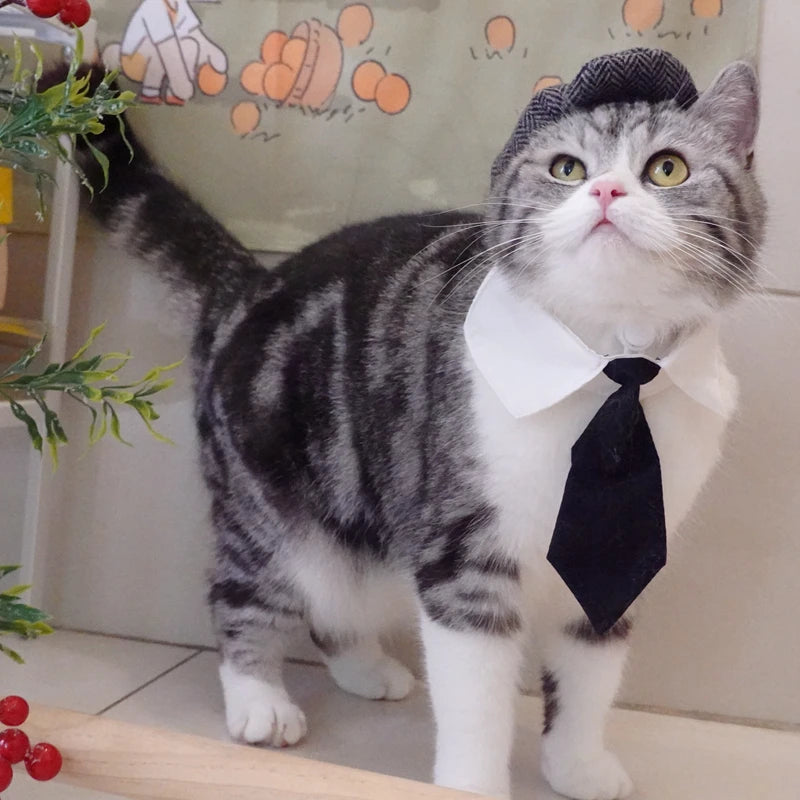 Sombrero Boina de Caballero con Corbata para Gatos, Disfraz Divertido