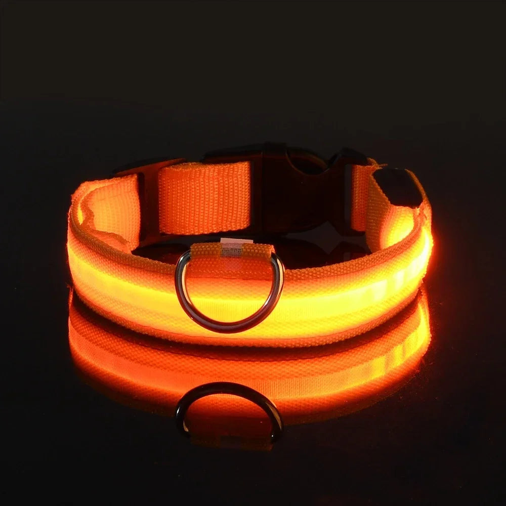 Collar LED Luminoso para Perros, Seguridad Nocturna