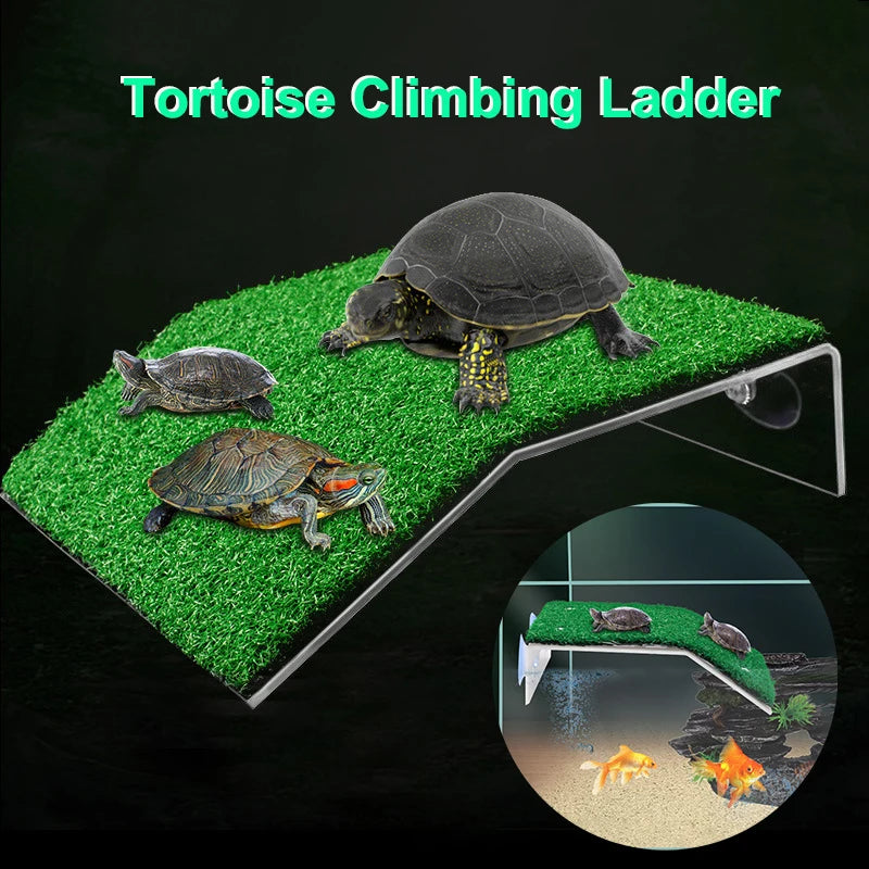 Plataforma Flotante para Tortugas, Isla para Tomar el Sol