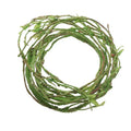 Enredaderas Decorativas de Resina para Terrario de Reptiles