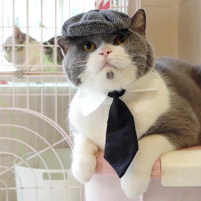 Sombrero Boina de Caballero con Corbata para Gatos, Disfraz Divertido