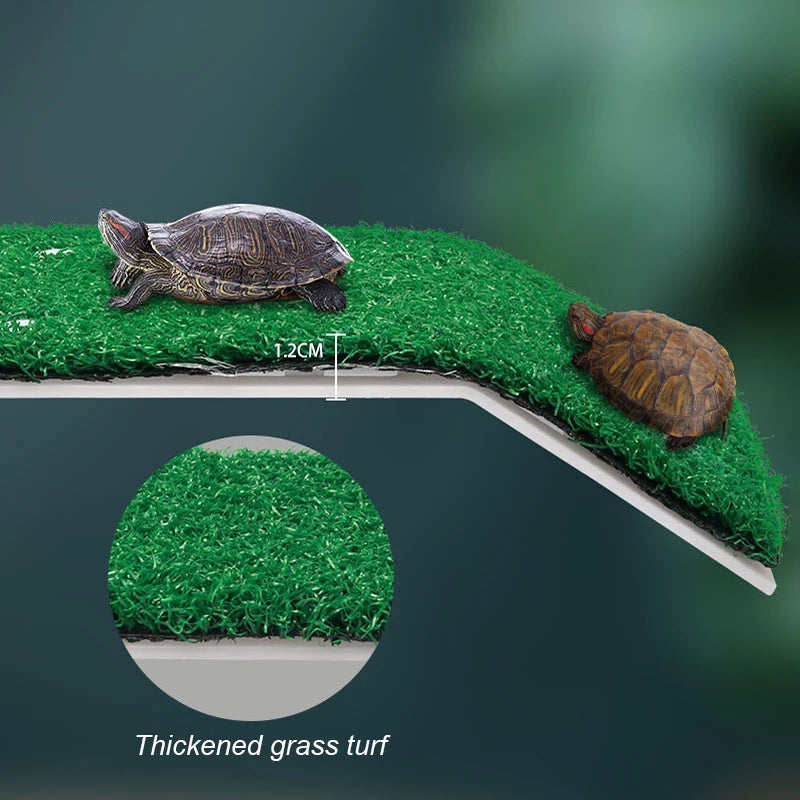Plataforma Flotante para Tortugas, Isla para Tomar el Sol
