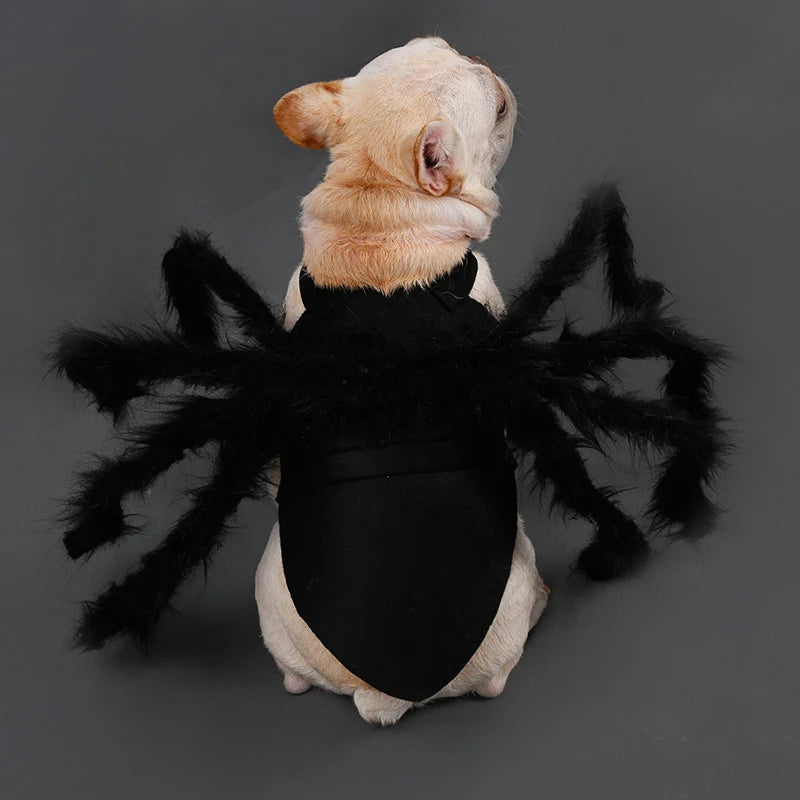 Disfraz de Arana para Perros y Gatos, Traje de Halloween