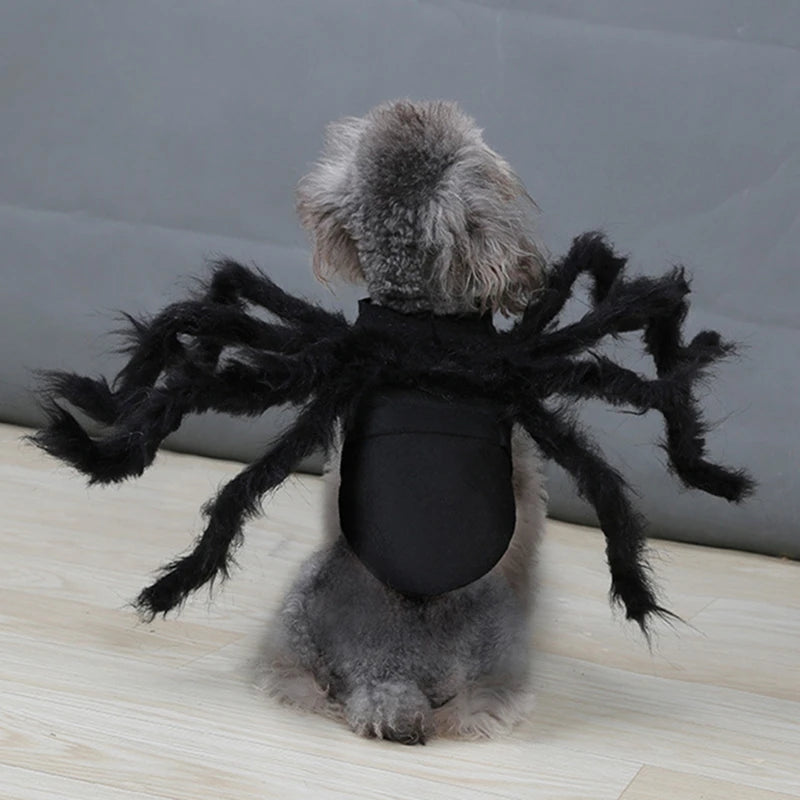 Disfraz de Arana para Perros y Gatos, Traje de Halloween