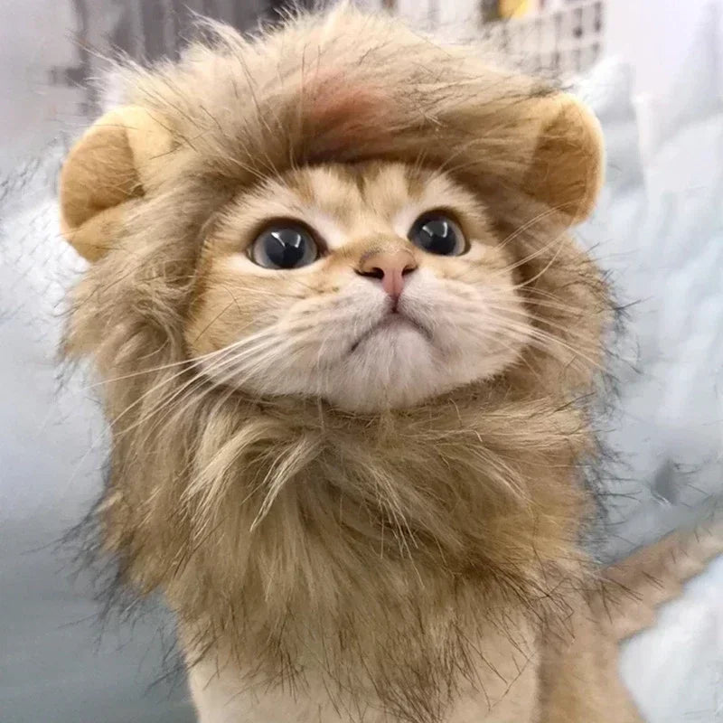 Gorro de Melena de Leon para Gatos y Perros, Disfraz Cosplay