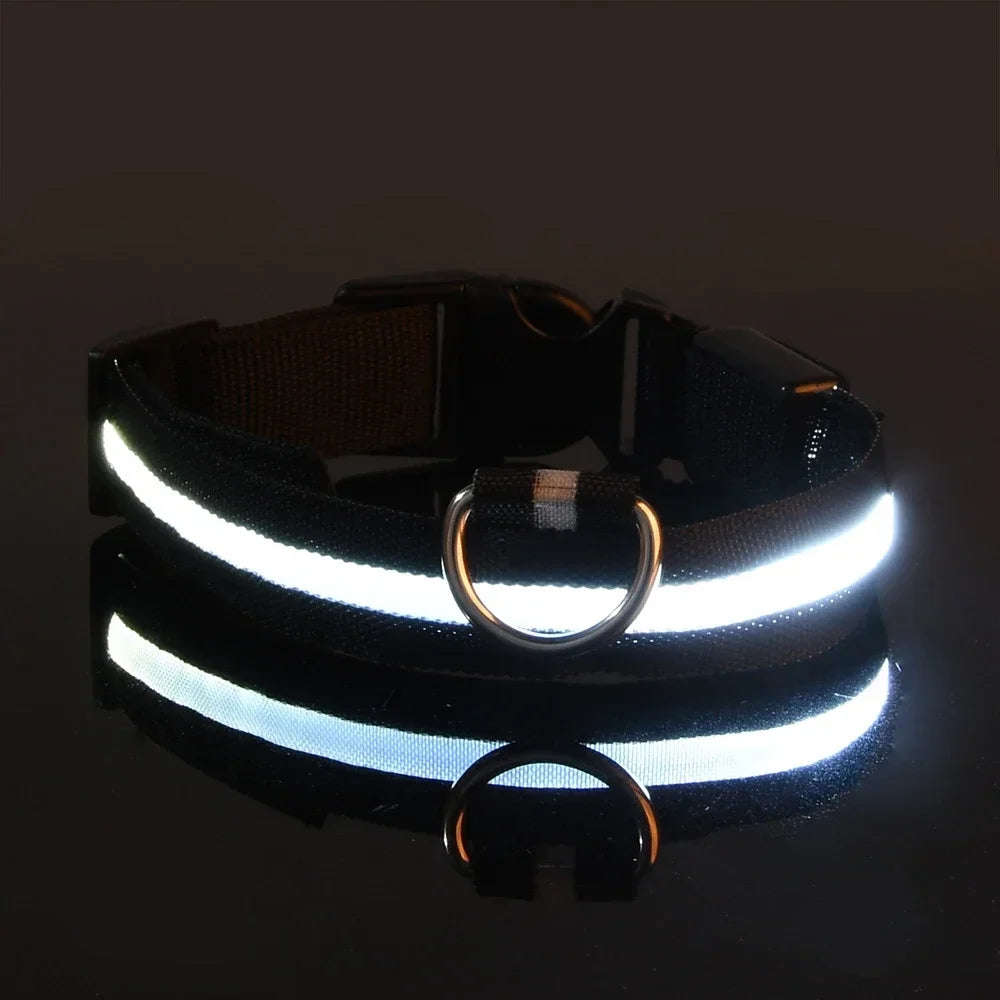 Collar LED Luminoso para Perros, Seguridad Nocturna