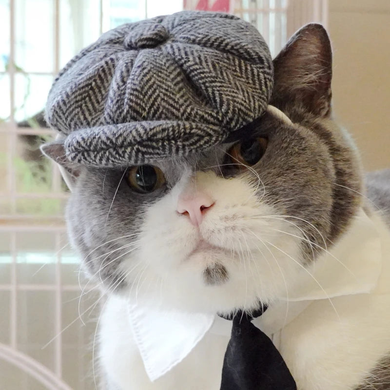 Sombrero Boina de Caballero con Corbata para Gatos, Disfraz Divertido