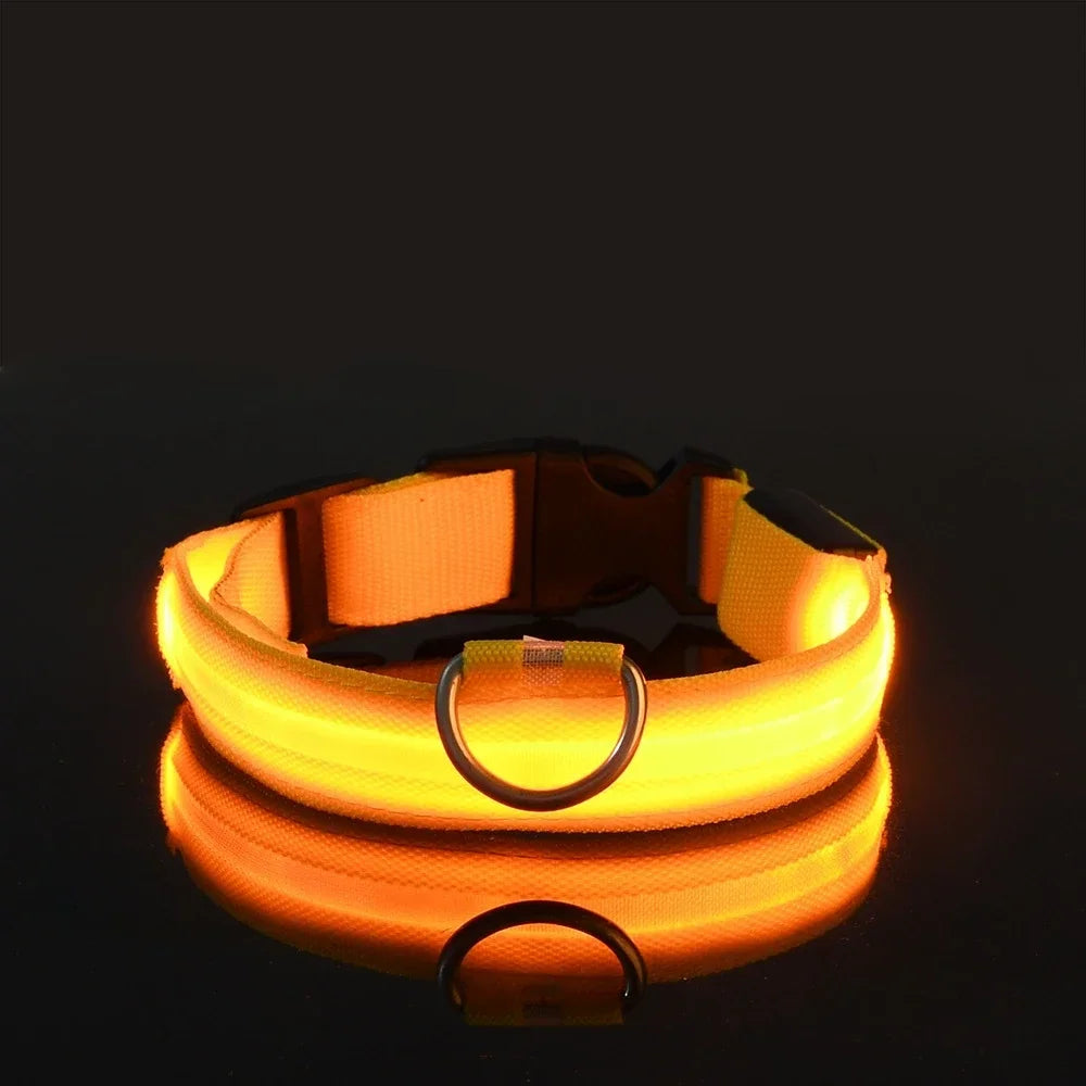 Collar LED Luminoso para Perros, Seguridad Nocturna
