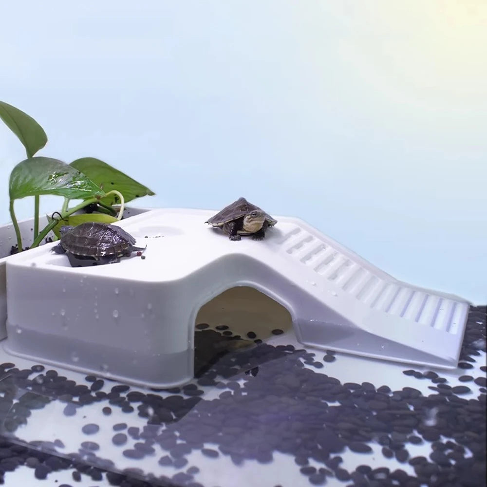 Rampa Flotante para Tortugas, Plataforma para Tomar el Sol