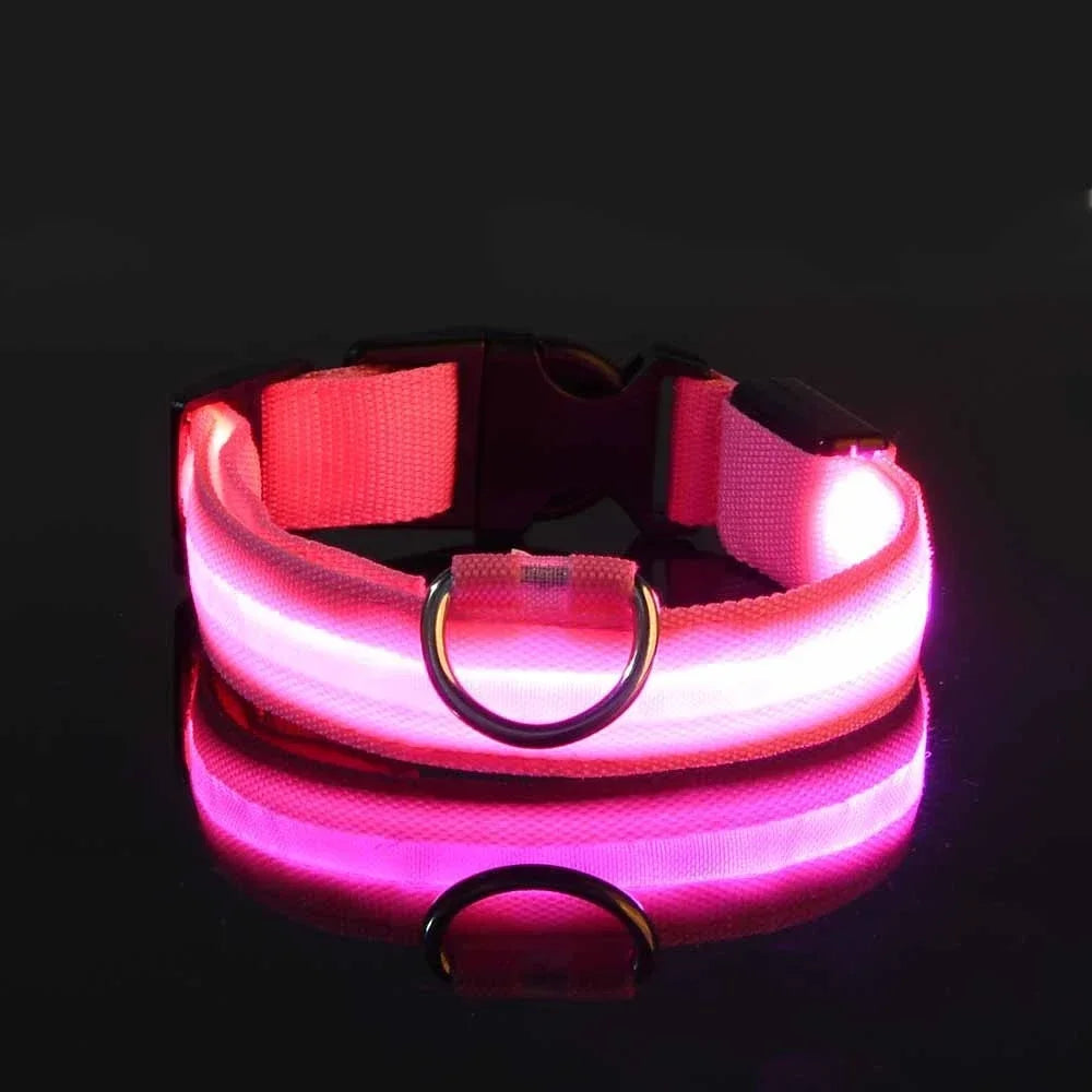 Collar LED Luminoso para Perros, Seguridad Nocturna
