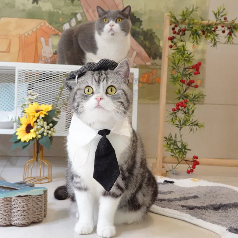 Sombrero Boina de Caballero con Corbata para Gatos, Disfraz Divertido
