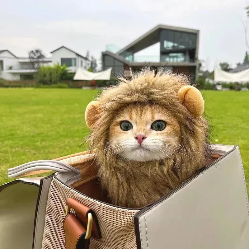 Gorro de Melena de Leon para Gatos y Perros, Disfraz Cosplay