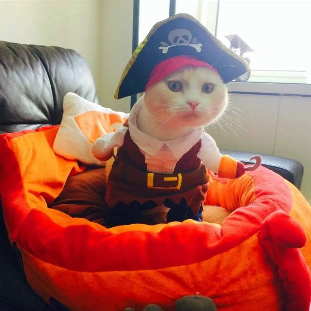 Disfraz de Pirata para Gatos, Traje Completo con Sombrero