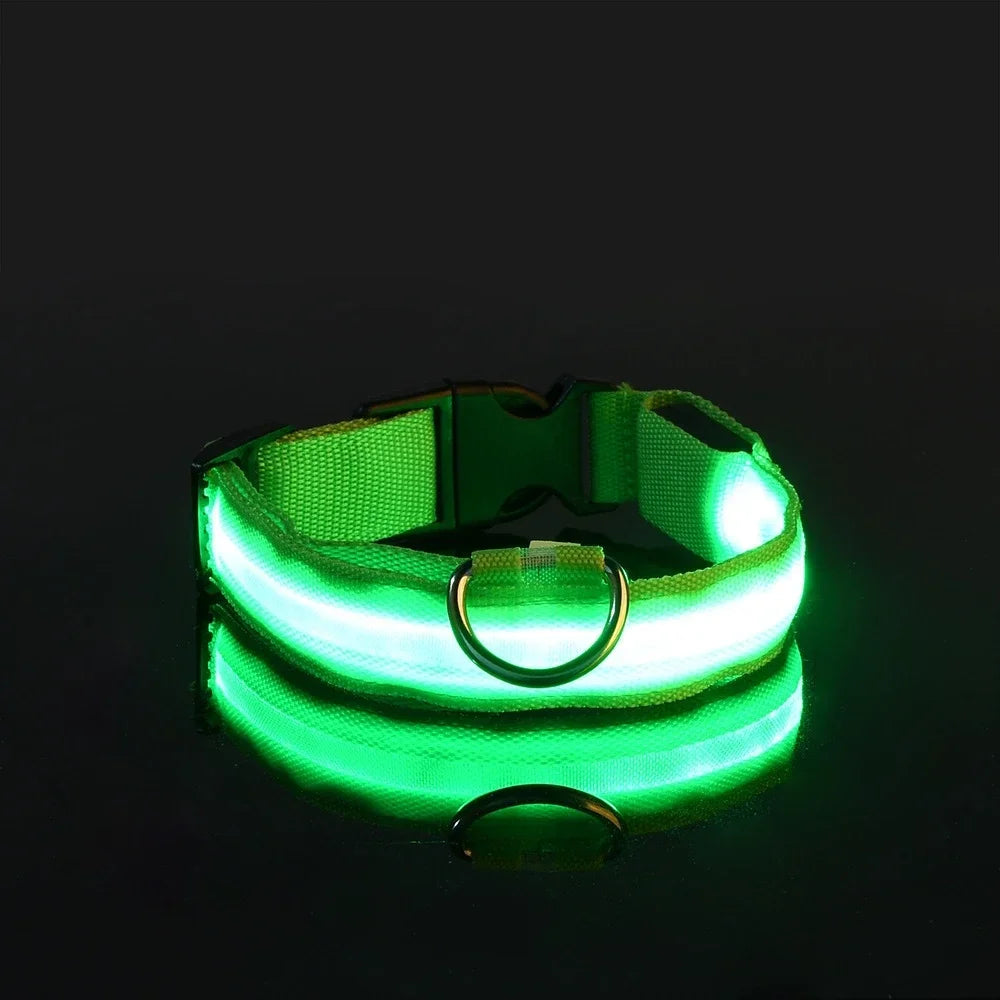 Collar LED Luminoso para Perros, Seguridad Nocturna
